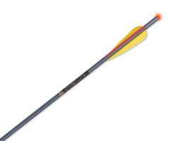 OMNI-BRITE 2.0 XX75 ARROWS TENPOINT OMNI-BRITE 2.0 LIGHTED 2219 ALUM. ARROWS