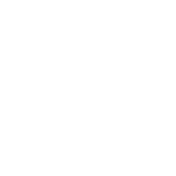 Ruger Logo