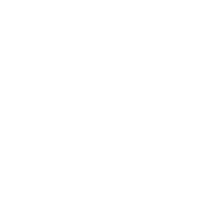 Smith & Wesson Logo