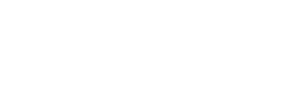 Savage Logo