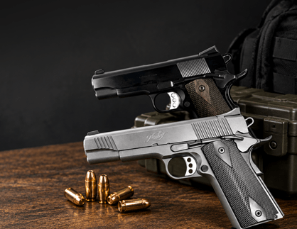 Shop guns online